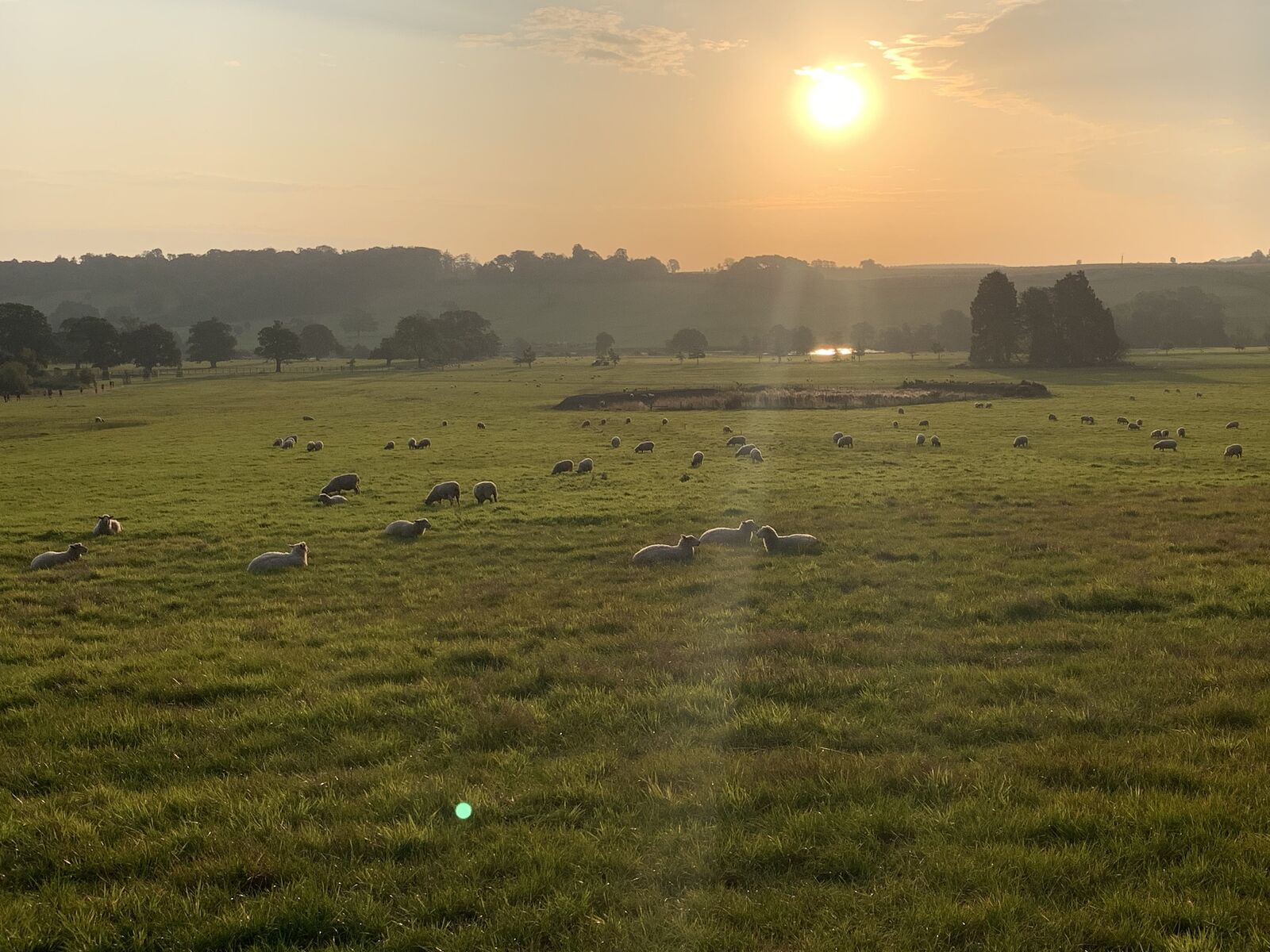Morning Run