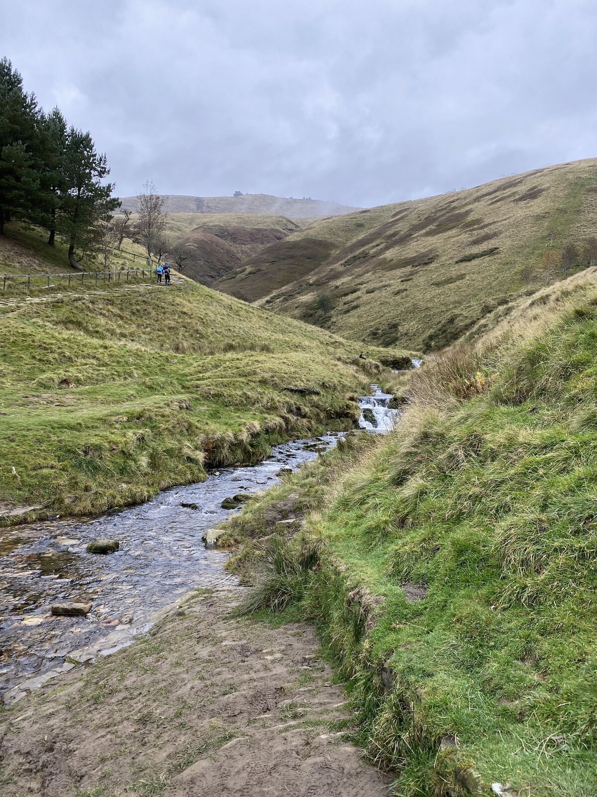 Approach to Jacob