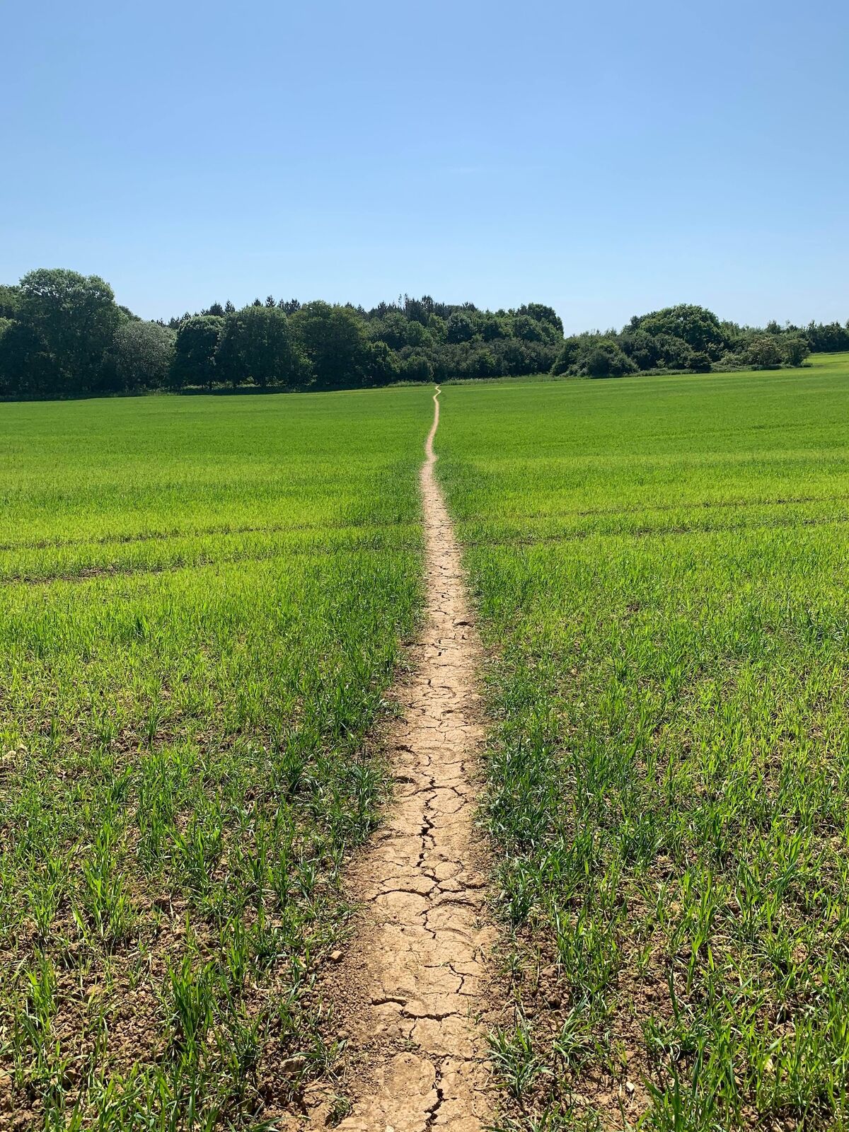 Lisa's Path
