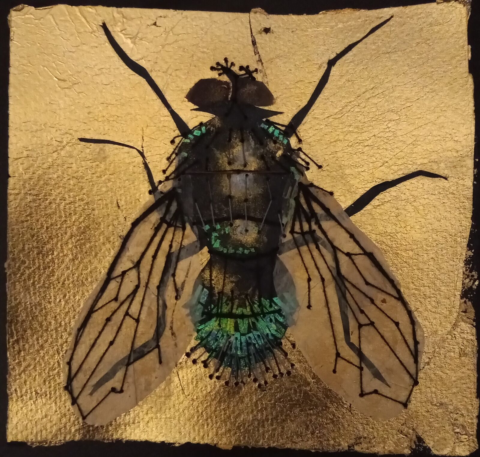 Greenbottle fly