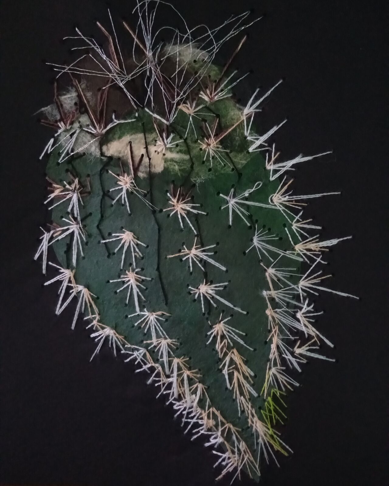 Cactus