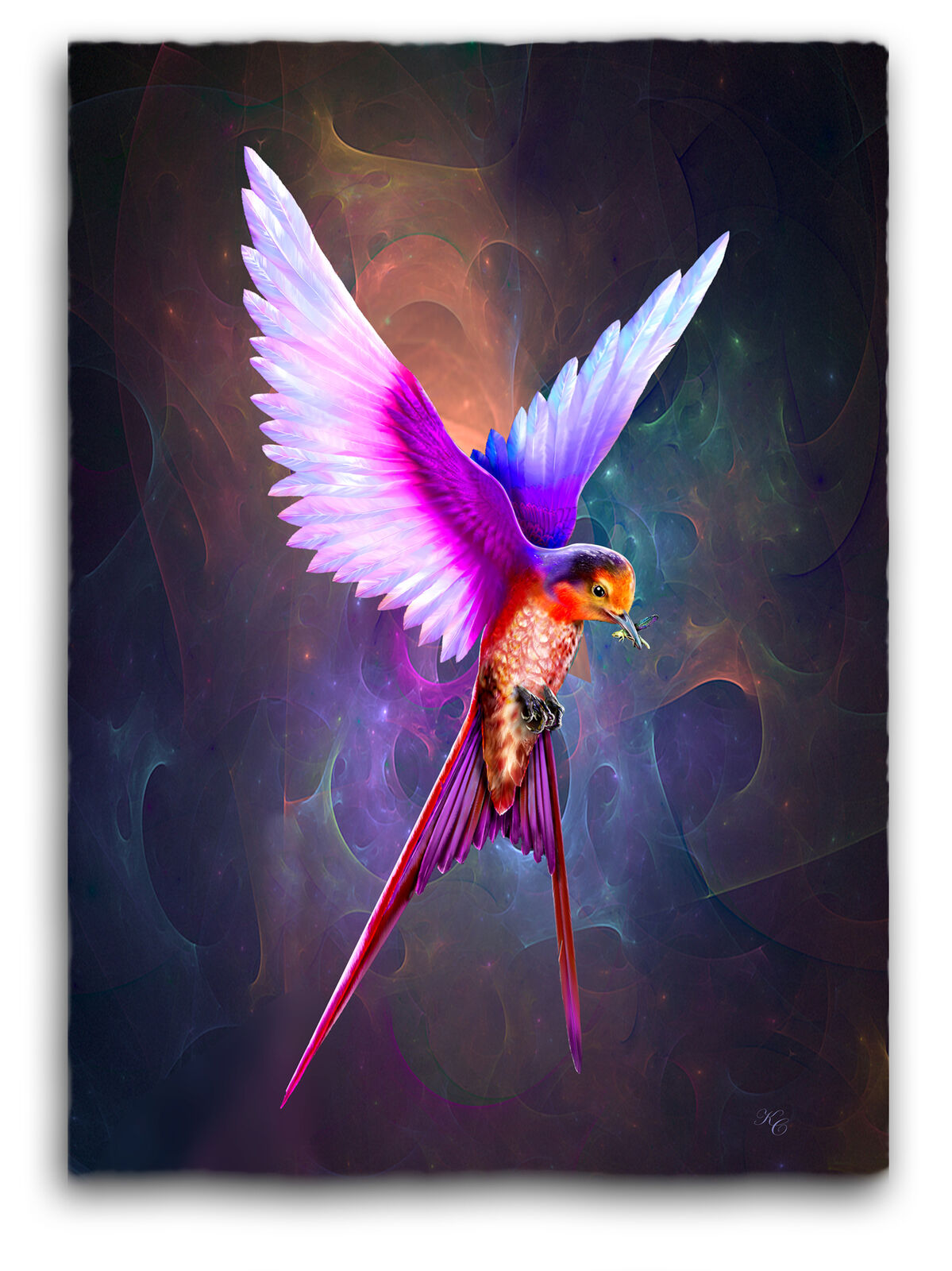 Is it a Swallow? (Limited Edition 1/20)