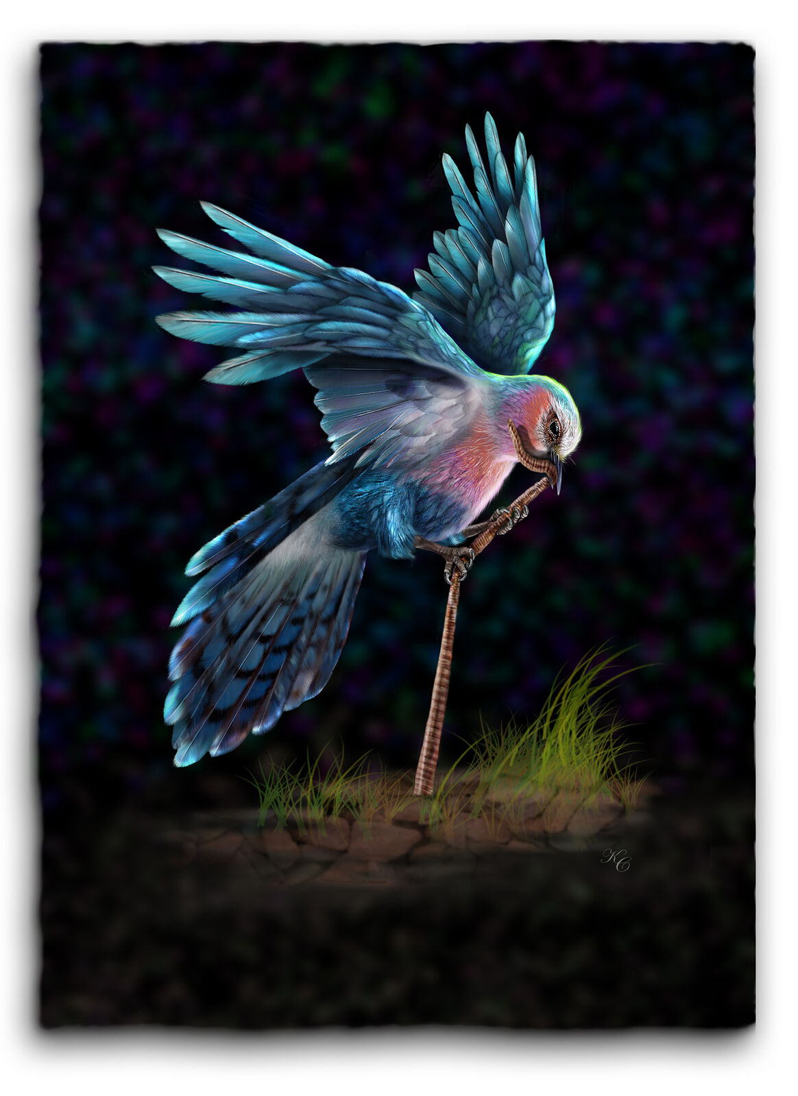 'Dinner time' (Limited Edition 2/20)