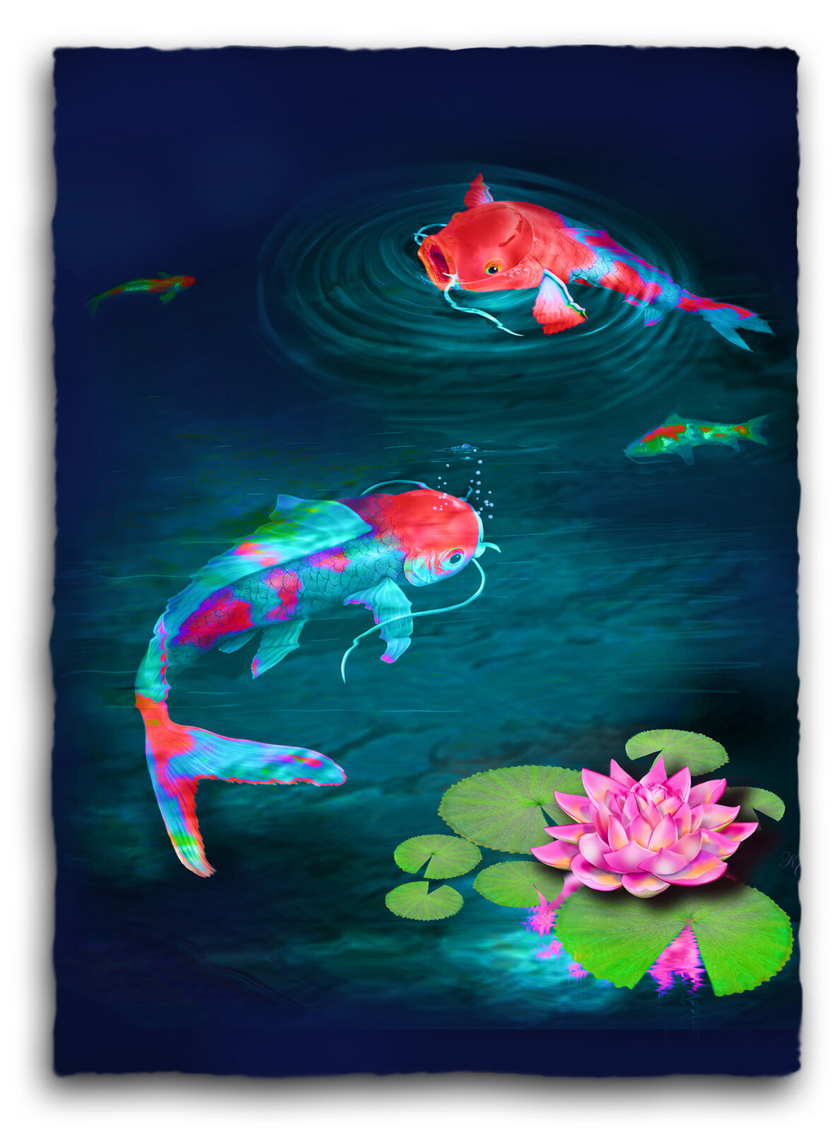 'Koi Carp' (Limited Edition 2/20)
