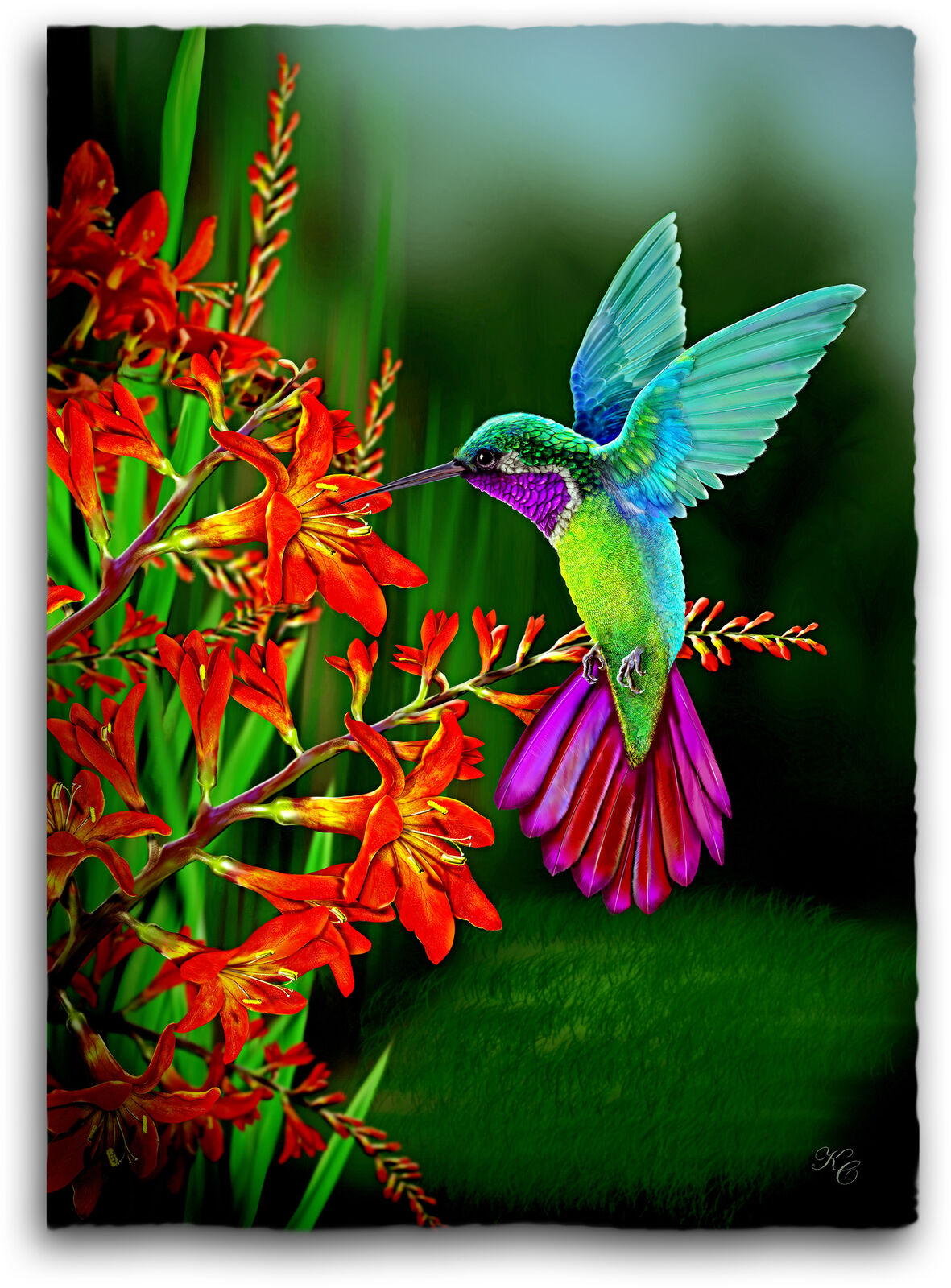 'Hummingbird - fast food' (Limited Edition 3/20)