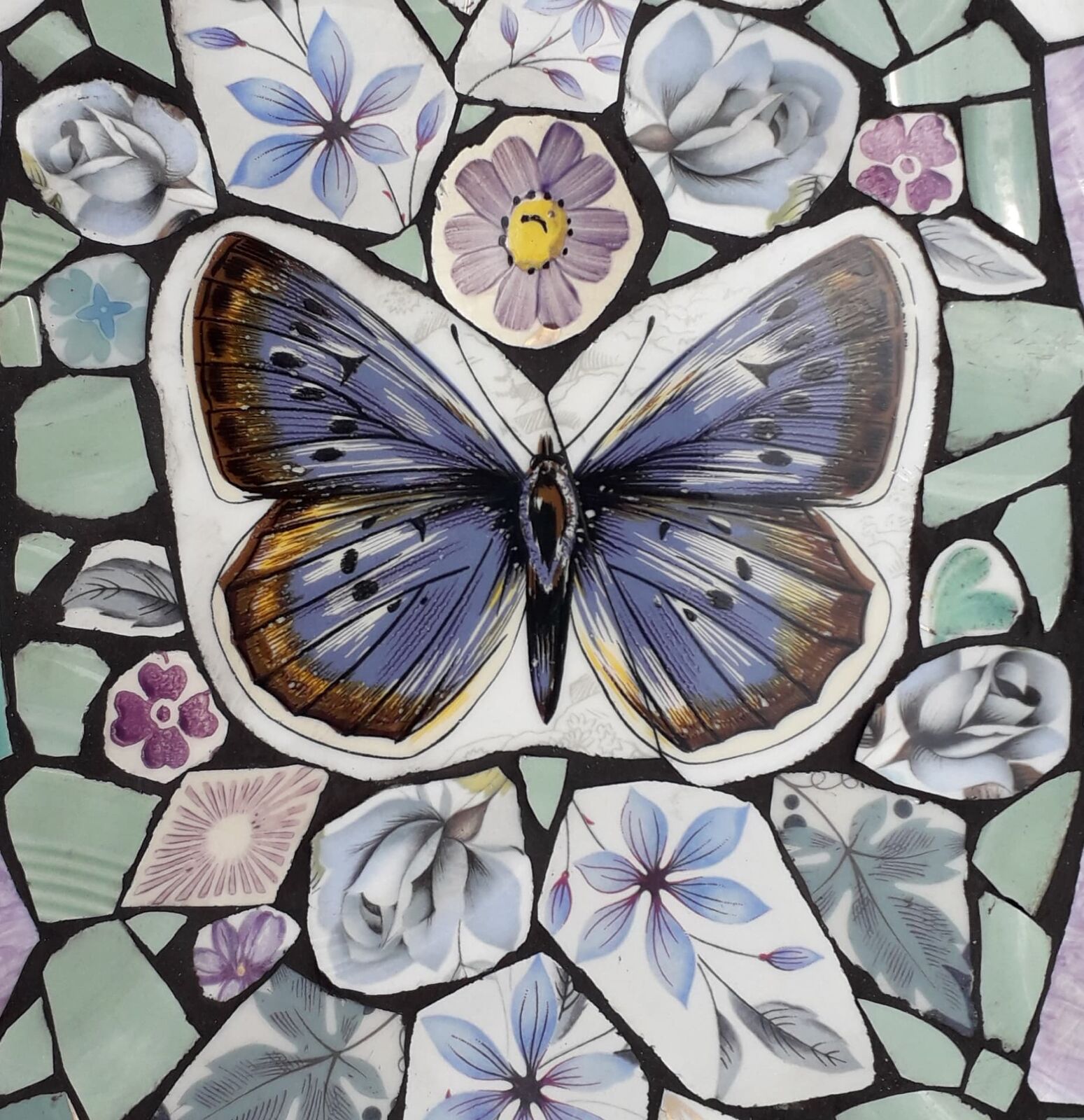 Purple Butterfly