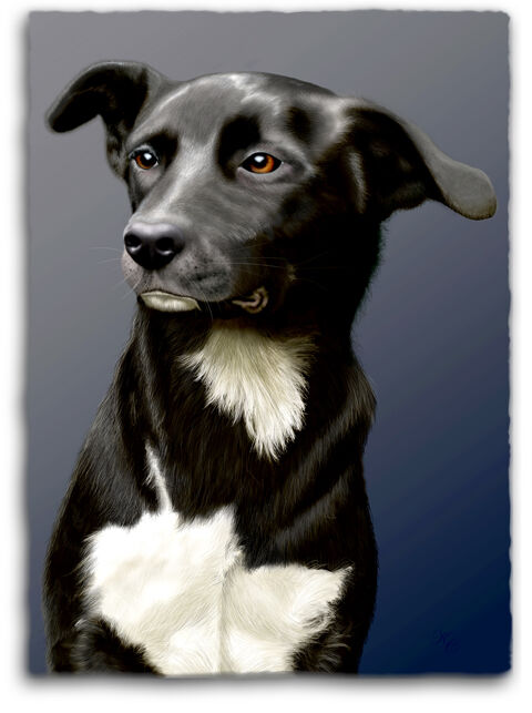 'Guinness' (commission)