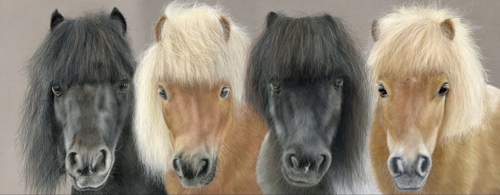 Commission â€œ4 shetlandsâ€