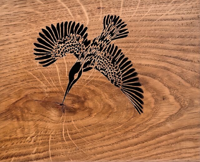 Kingfisher