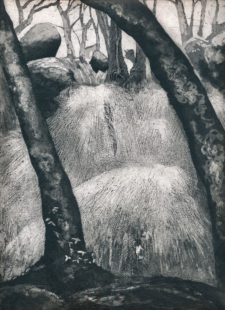 Becky Falls, Dartmoor