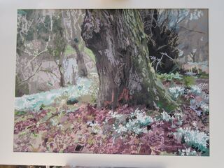 Mike Leaman's Gallery