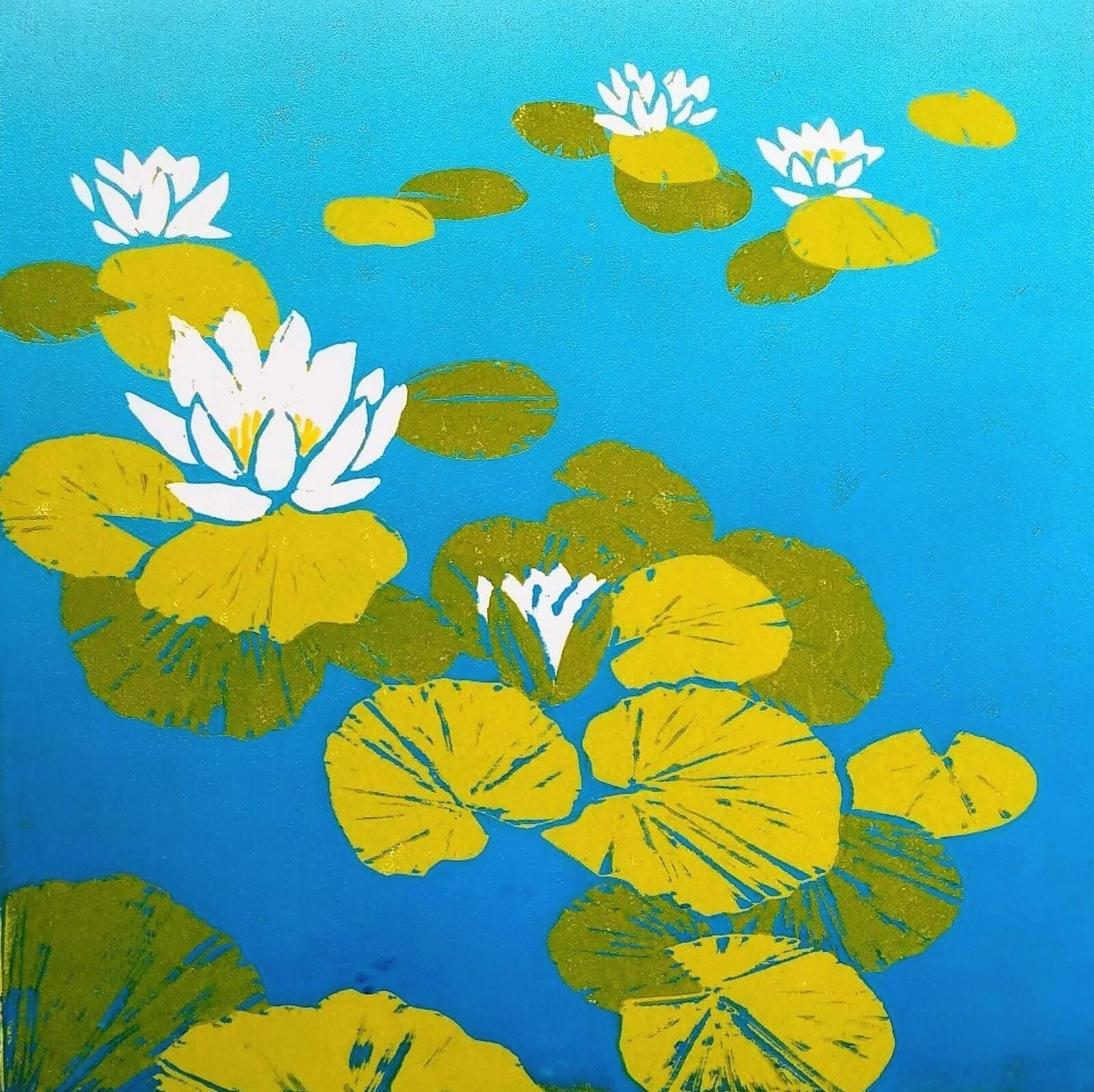 Waterlilies