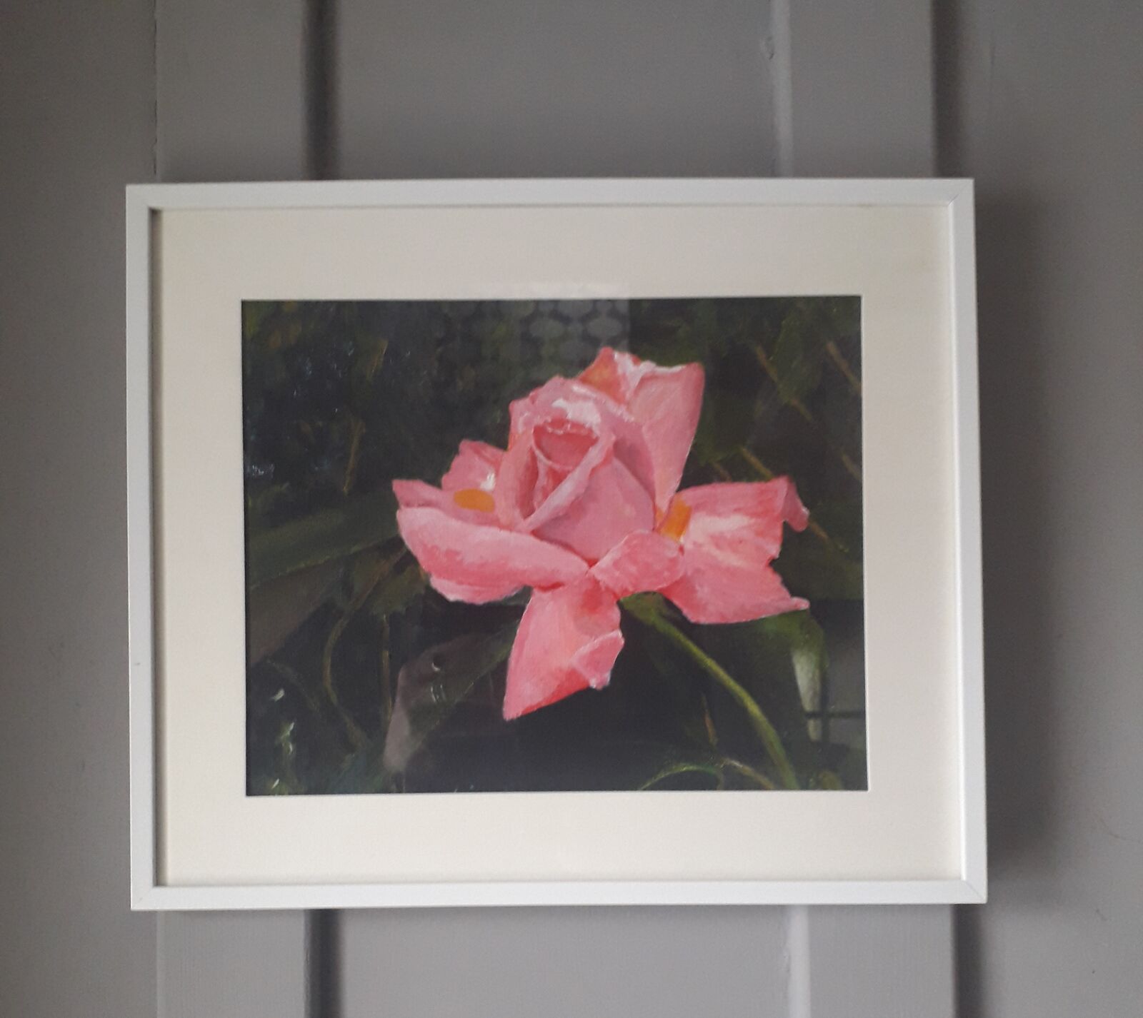Pink Rose