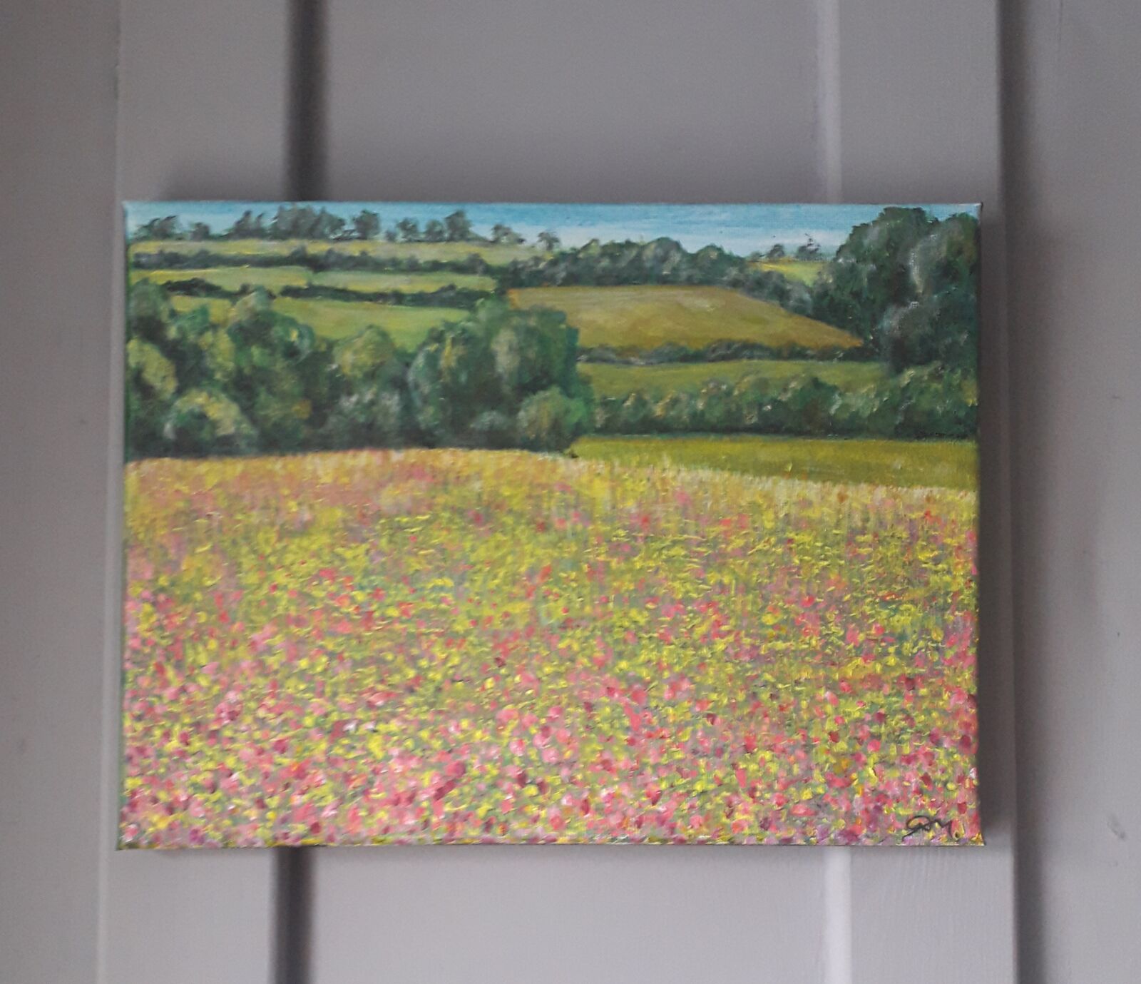 Clover and Buttercup field