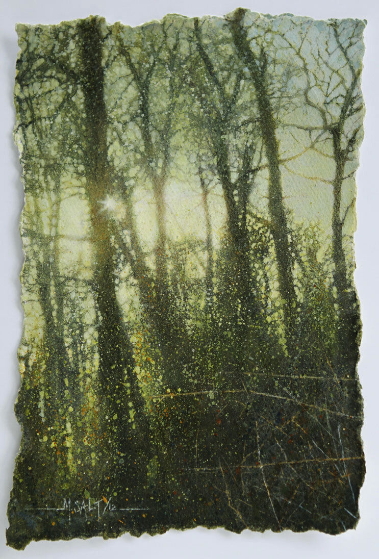 Evening light Abington Woods