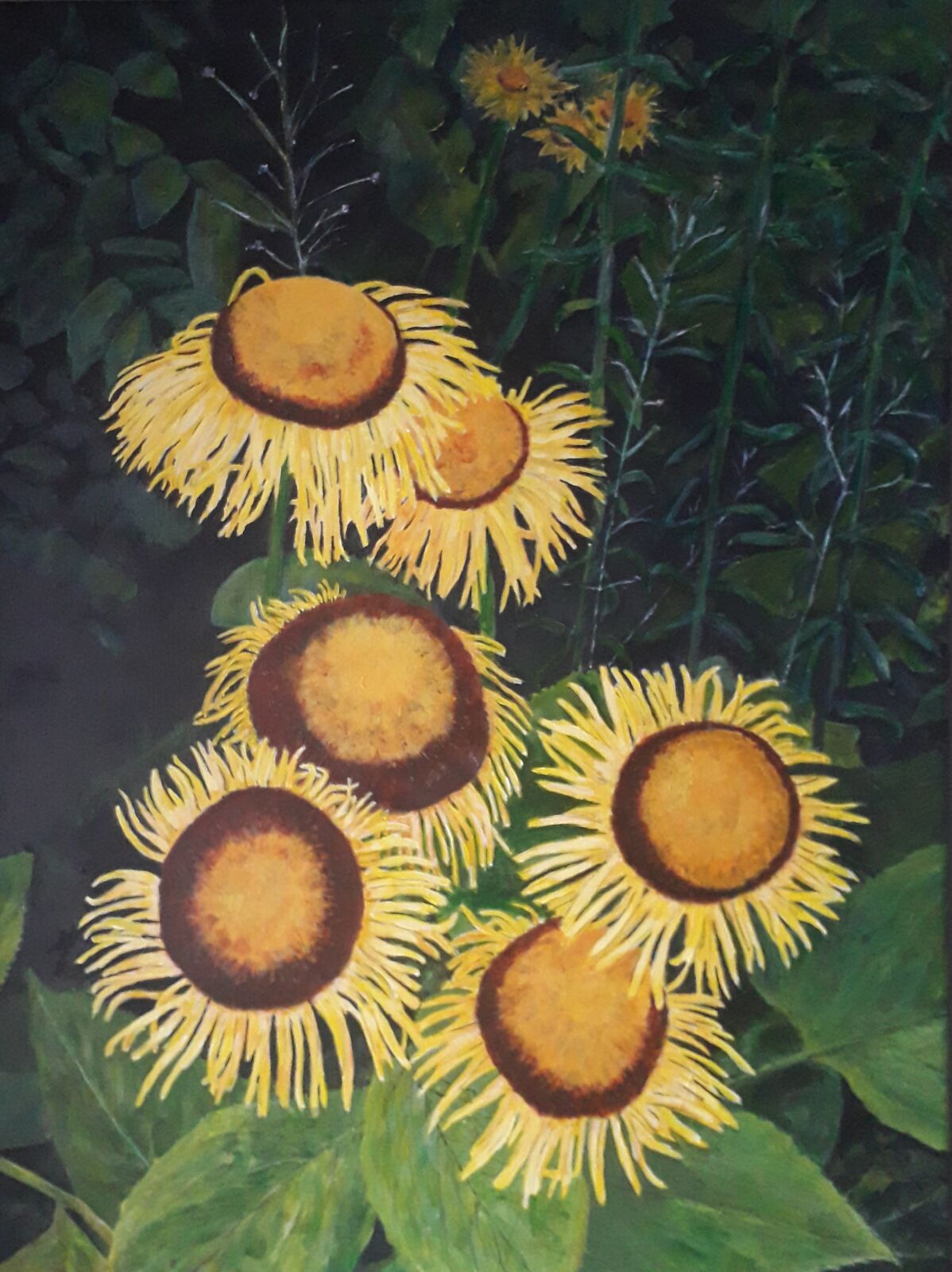 Inula