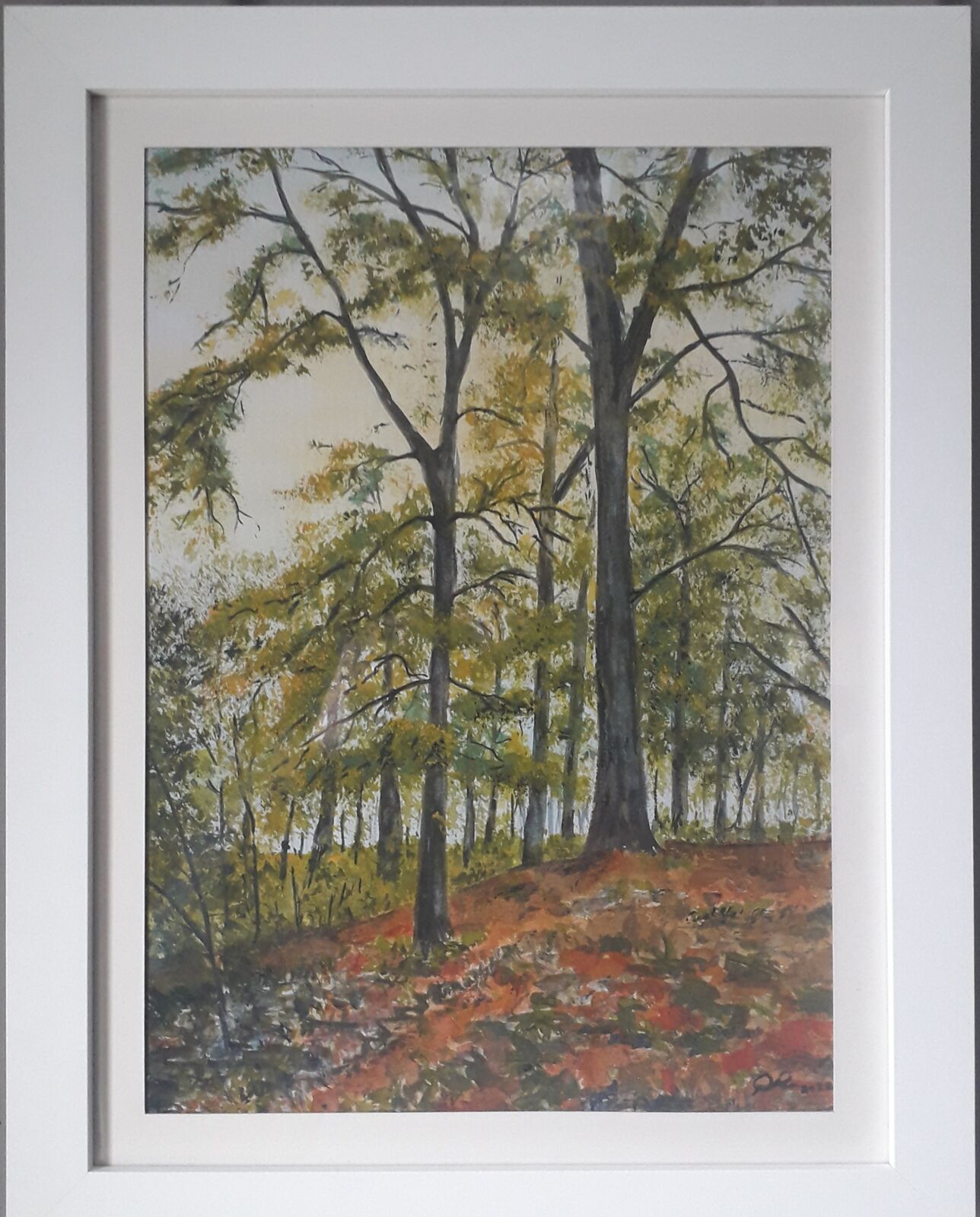 Woodland at Renishaw Hall