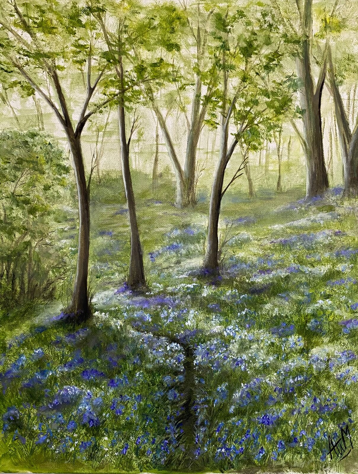 Bluebell wood