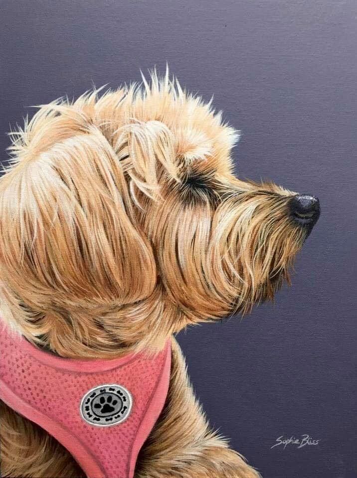 Belle