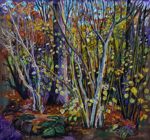 Carry Akroyd - Woodland (oil pastel)