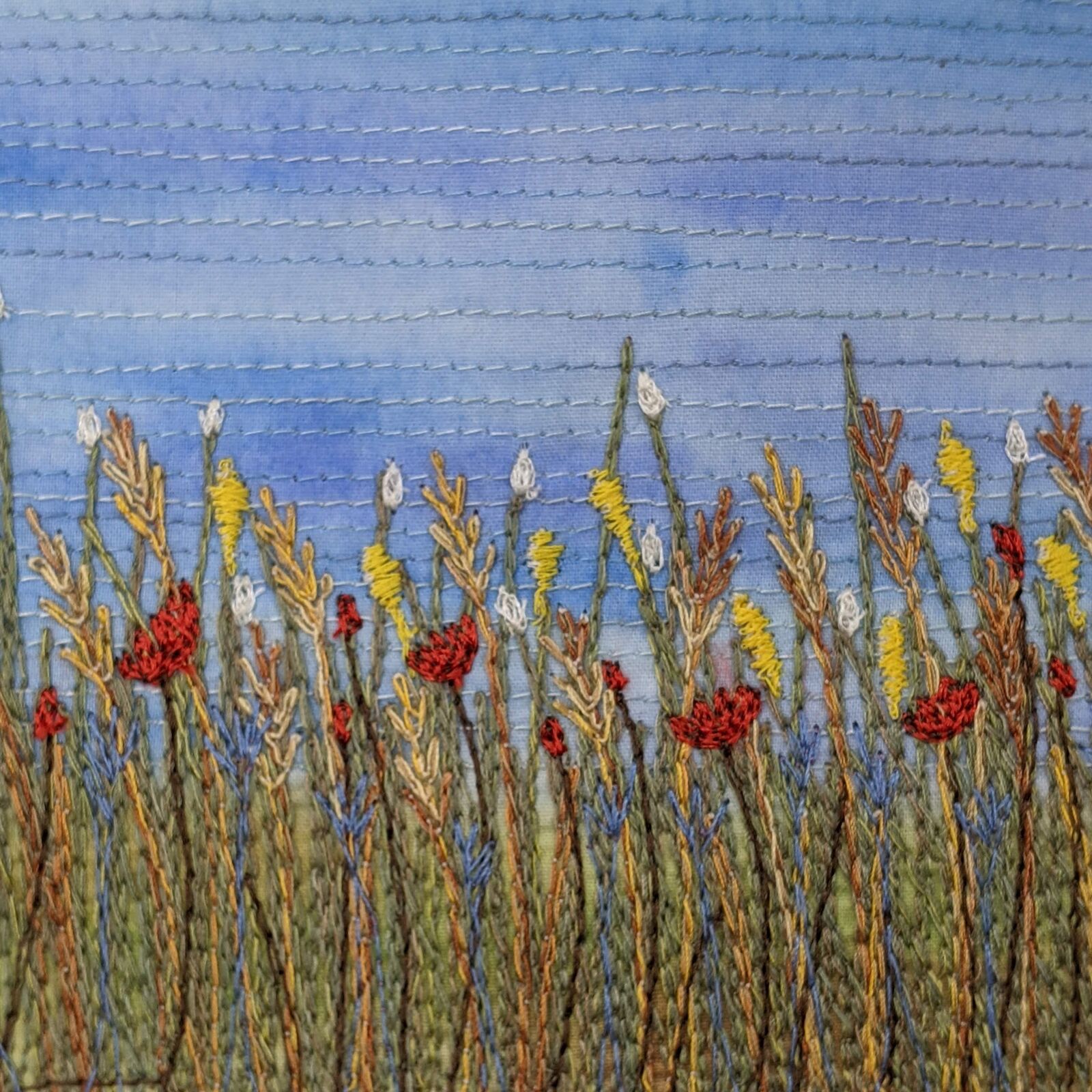 Poppy Field