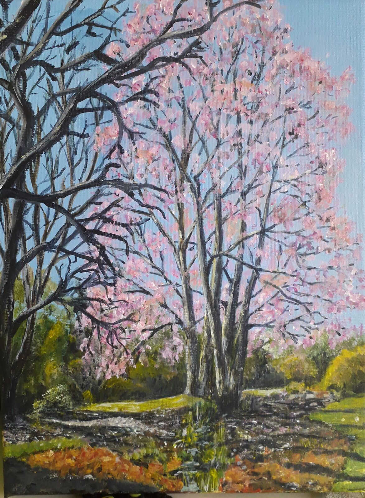 Magnolia Tree