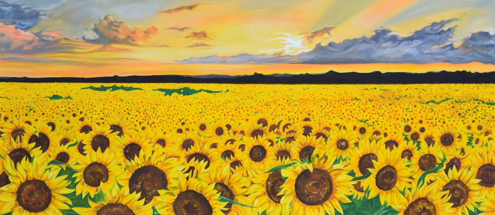 Sunflower Fields