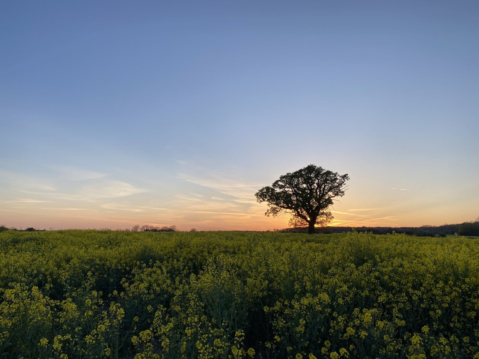 April Sunset