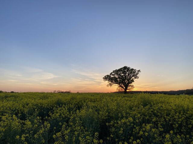 April Sunset
