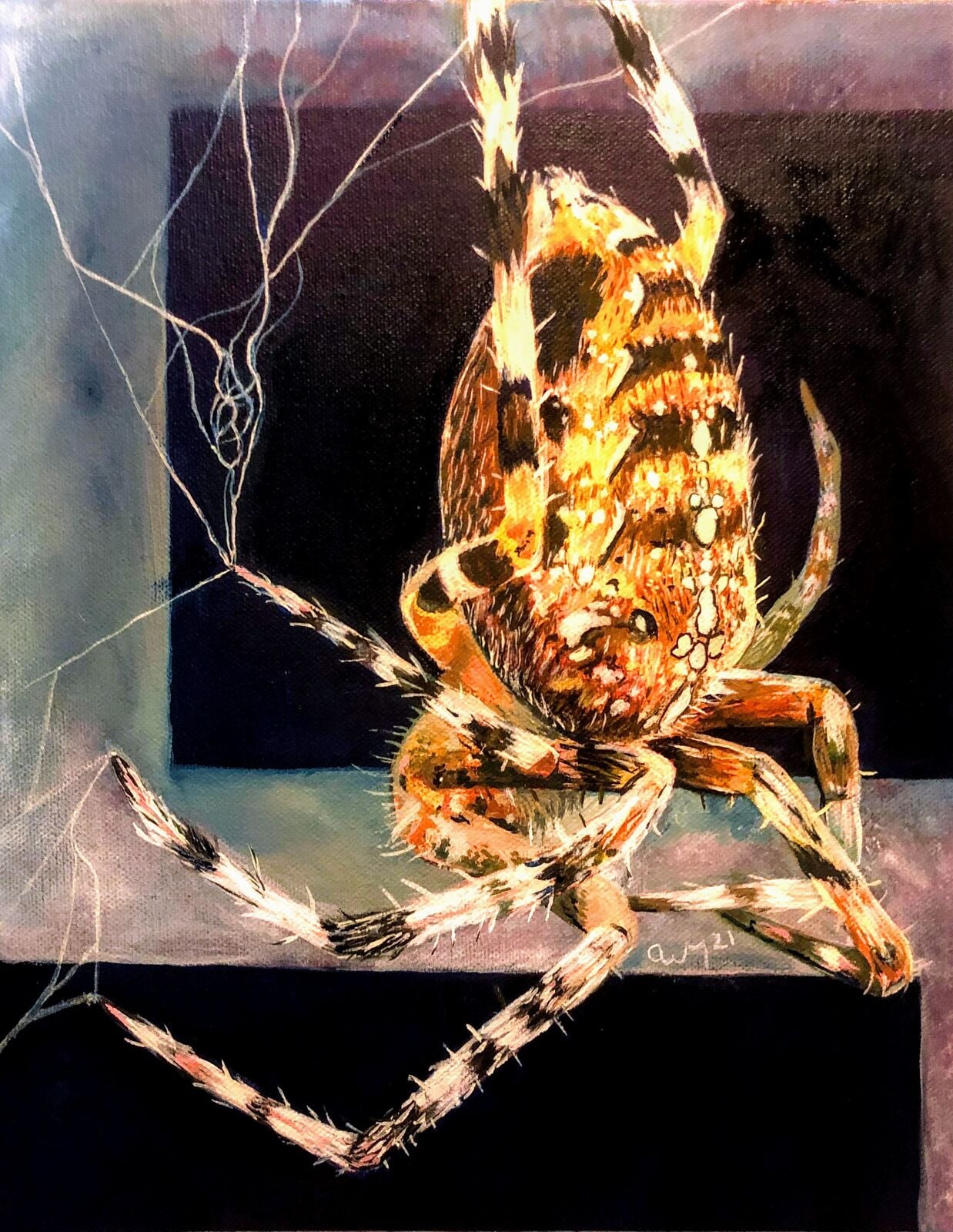 Along came a Spider
