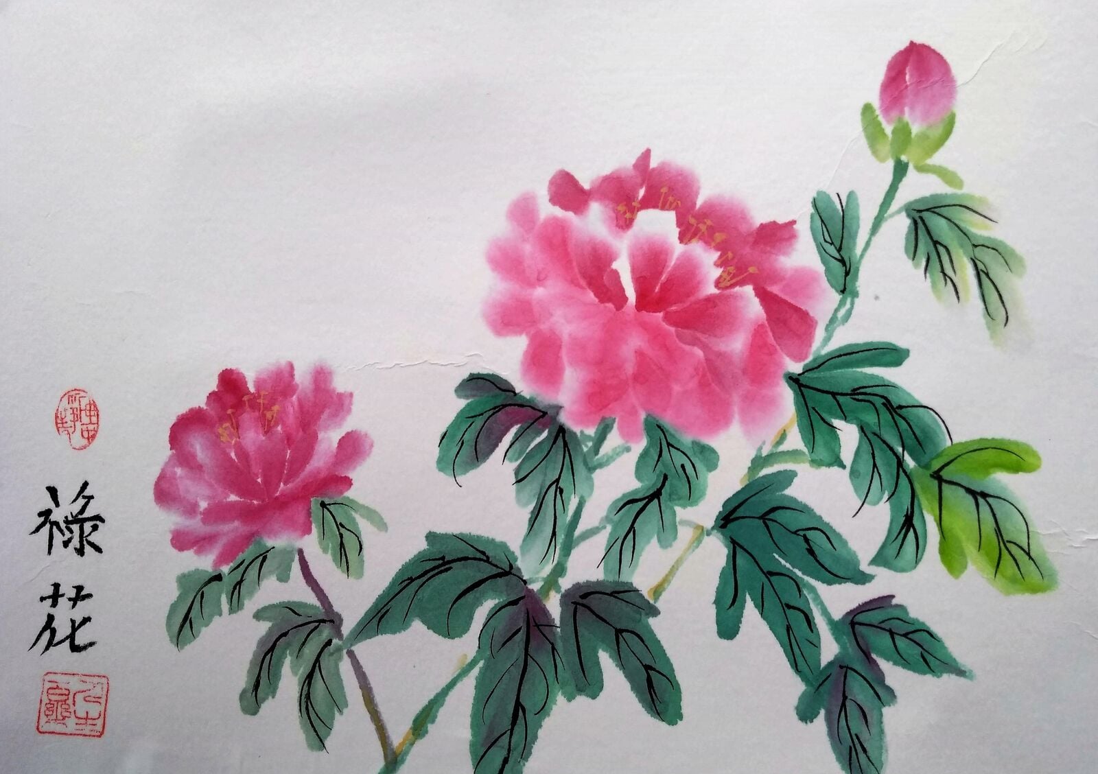 Peonie