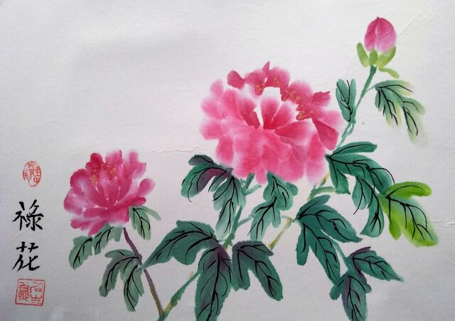 Peonie