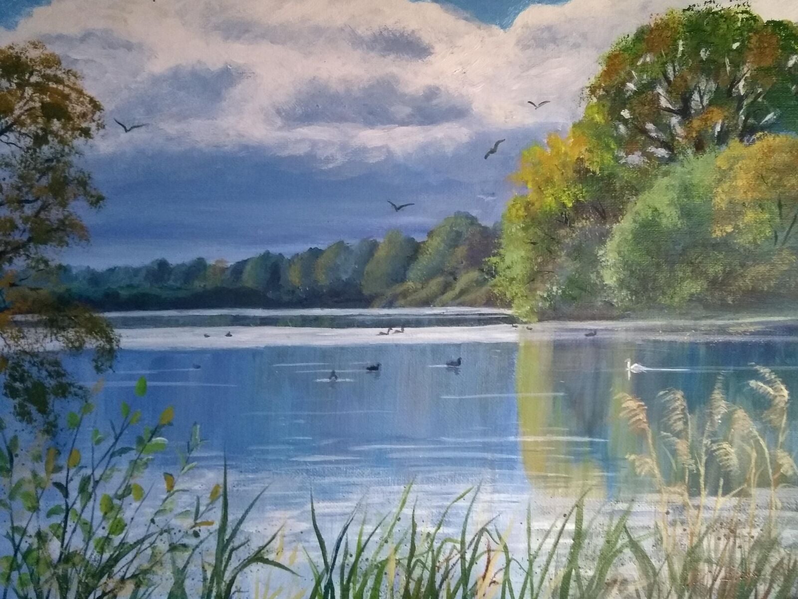 Summer at Kinewell Lake