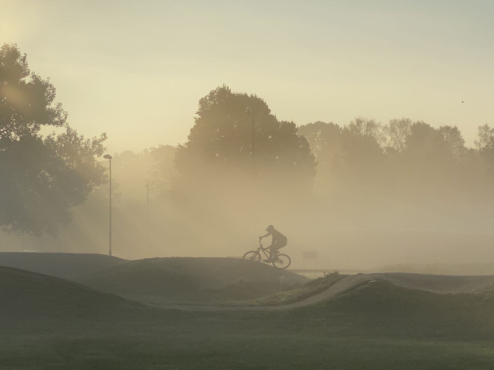 Rider in the Mist 2