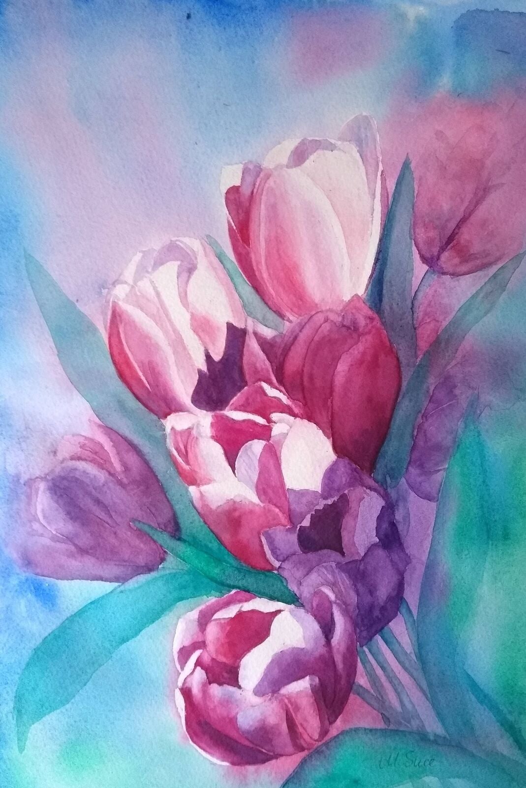 Tulips