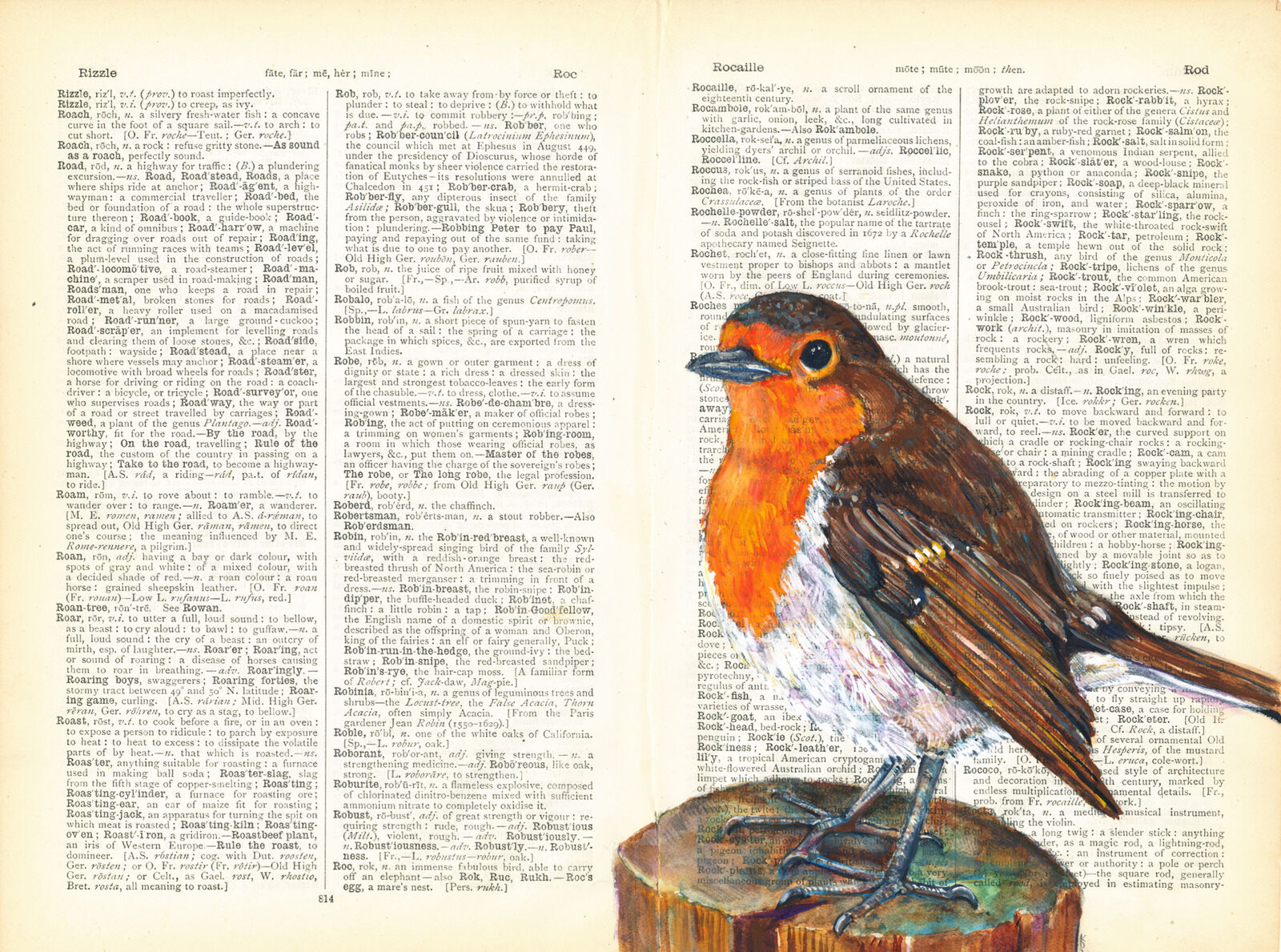 Robin on 1902 Dictionary Paper by Katy Dynes
