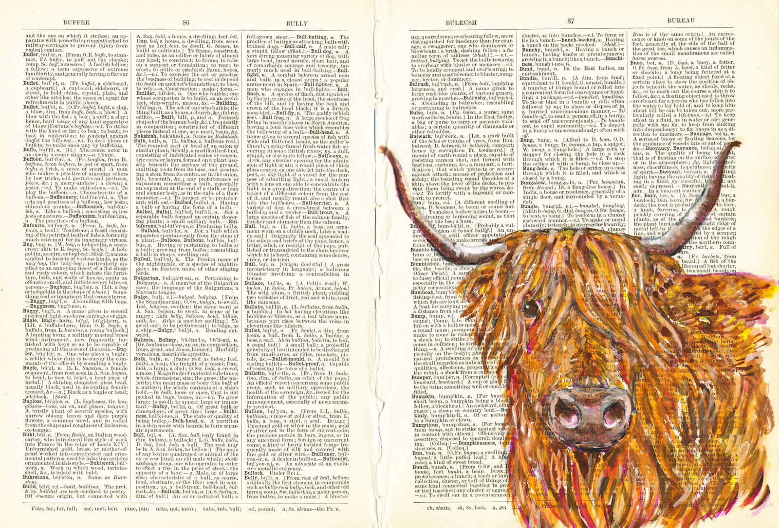 Highland Cow on Dictionary Paper- by Katy Dynes