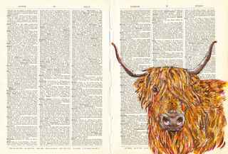 Dictionary Illustrations 