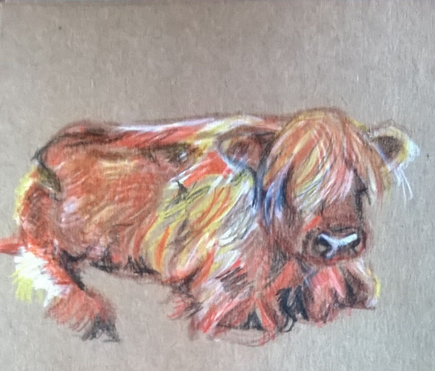SKETCHBOOK- Highland Cow- Scotland- by Katy Dynes 2022