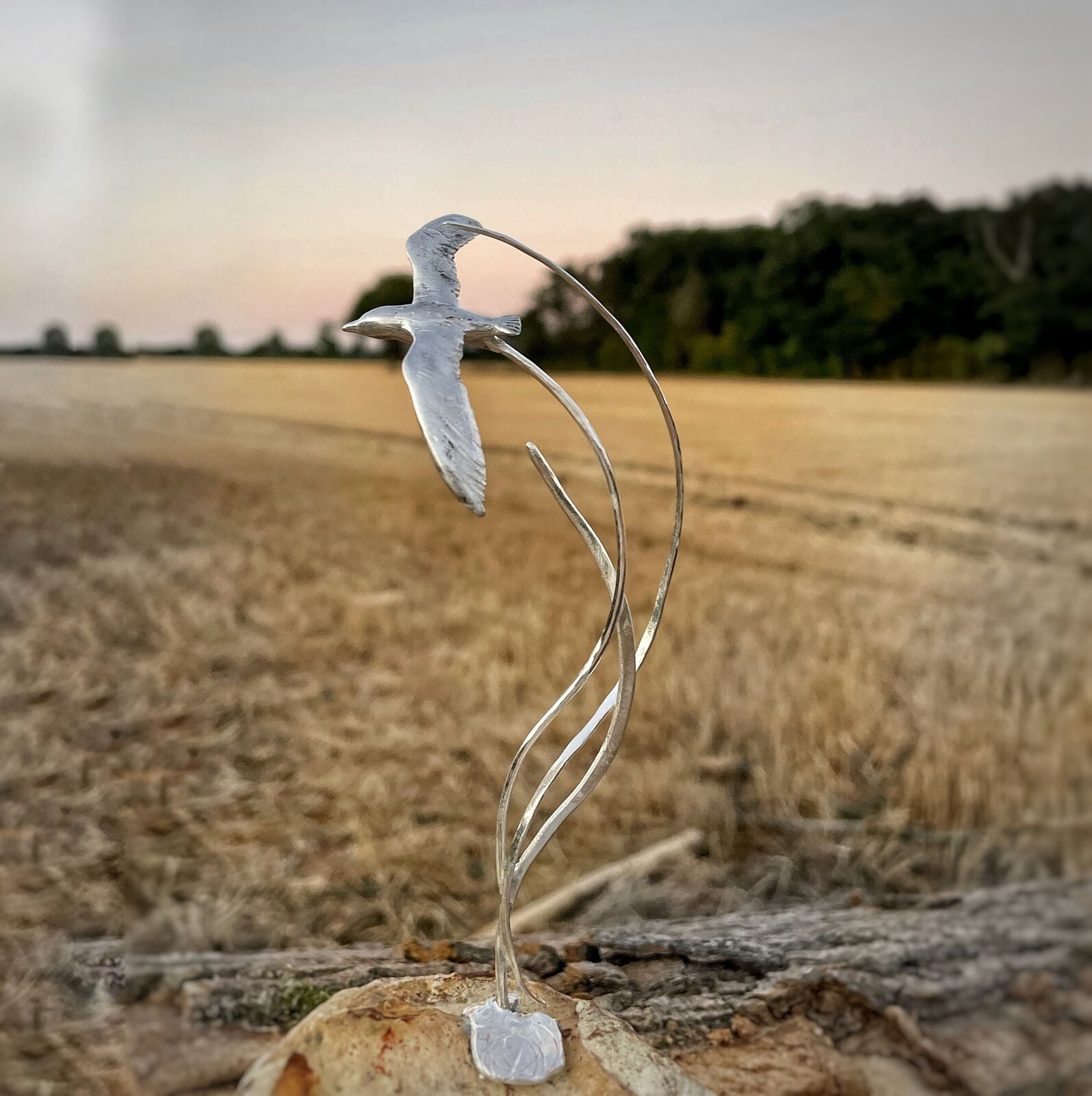 CE26 - Flight - by - Carol Clift