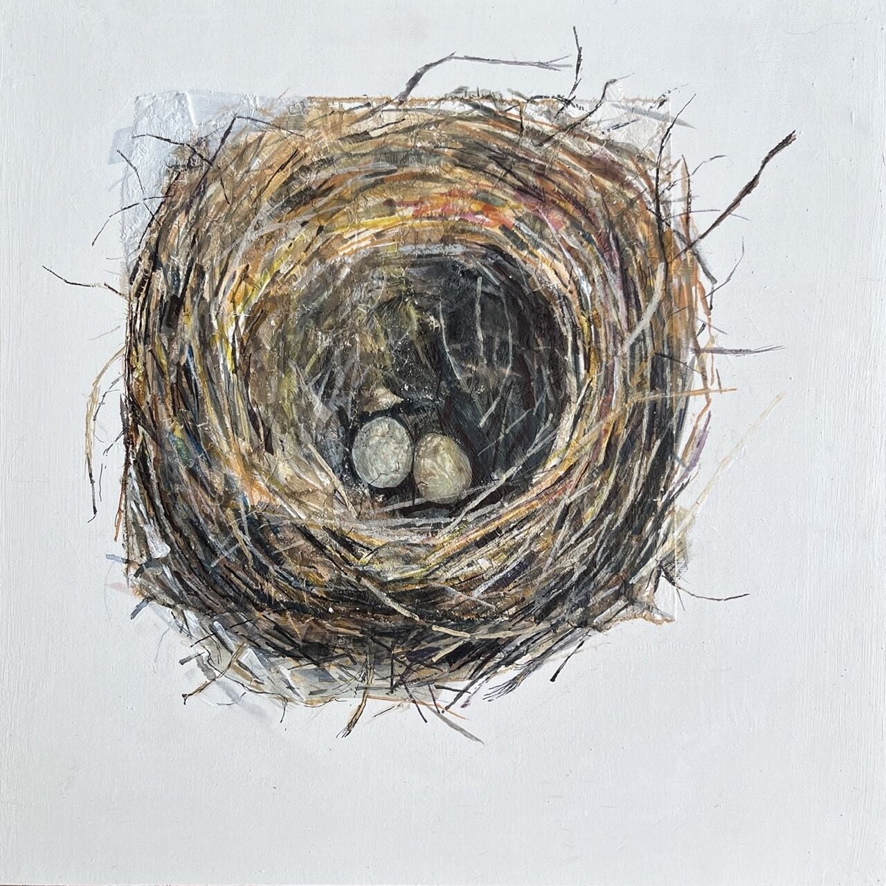 CE49 - Deserted nest with 2 eggs - by - CLARE BROOKES