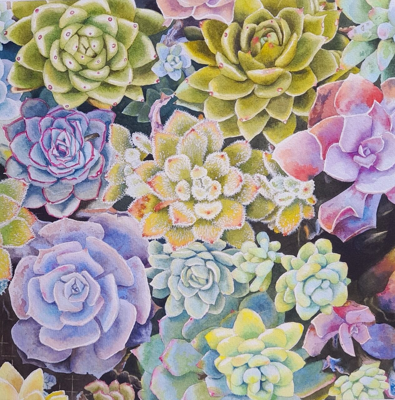 CE99 - Succulents - by - Jane Bell
