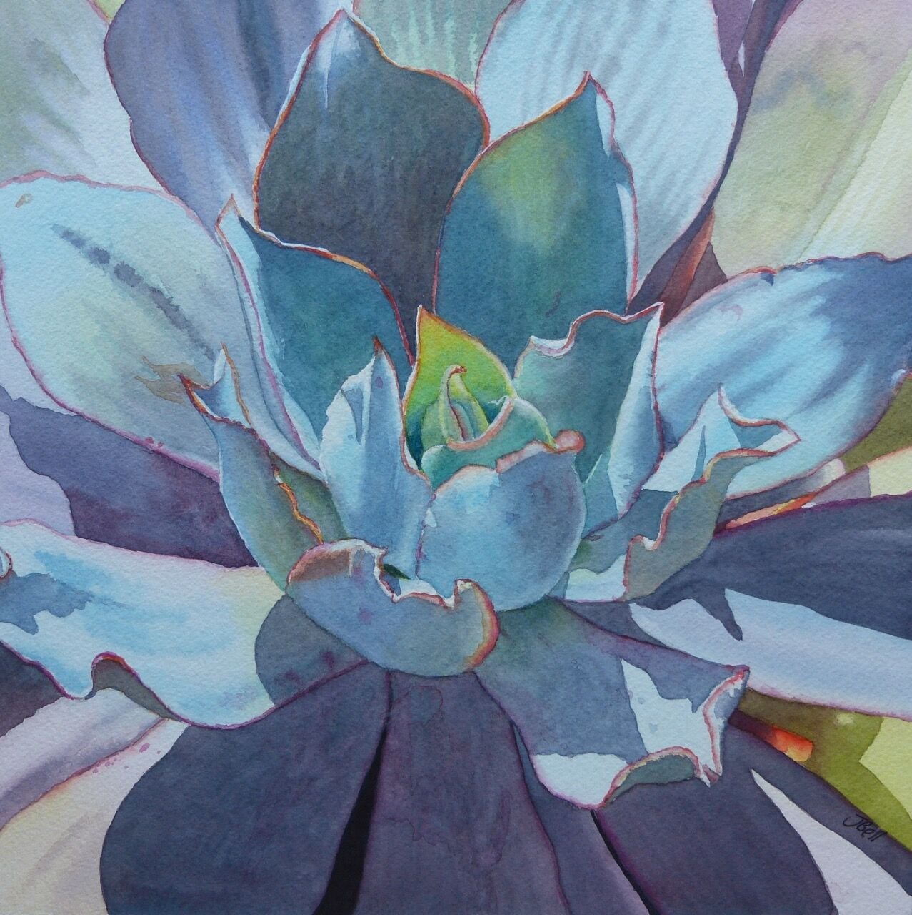 CE100 - Echeveria - by - Jane Bell