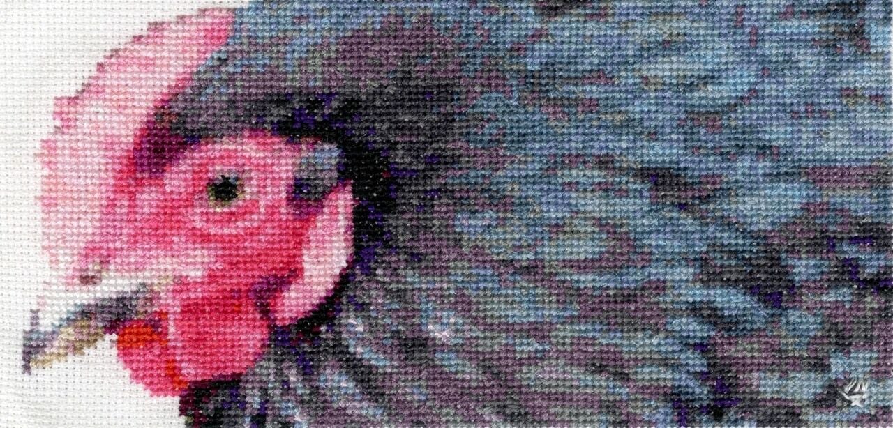 CE113 - Feathers - by - Jodie Neely
