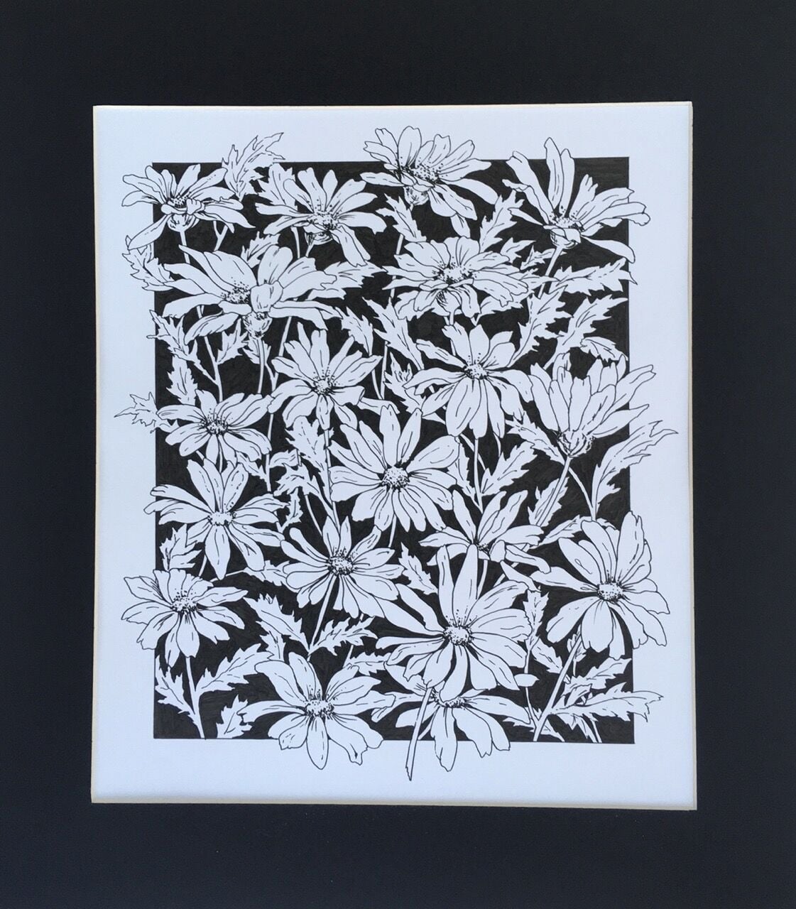CE119 - Daisies - by - Kay Carpenter