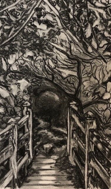CE184 - Into the Woods - by - R J Bowerman