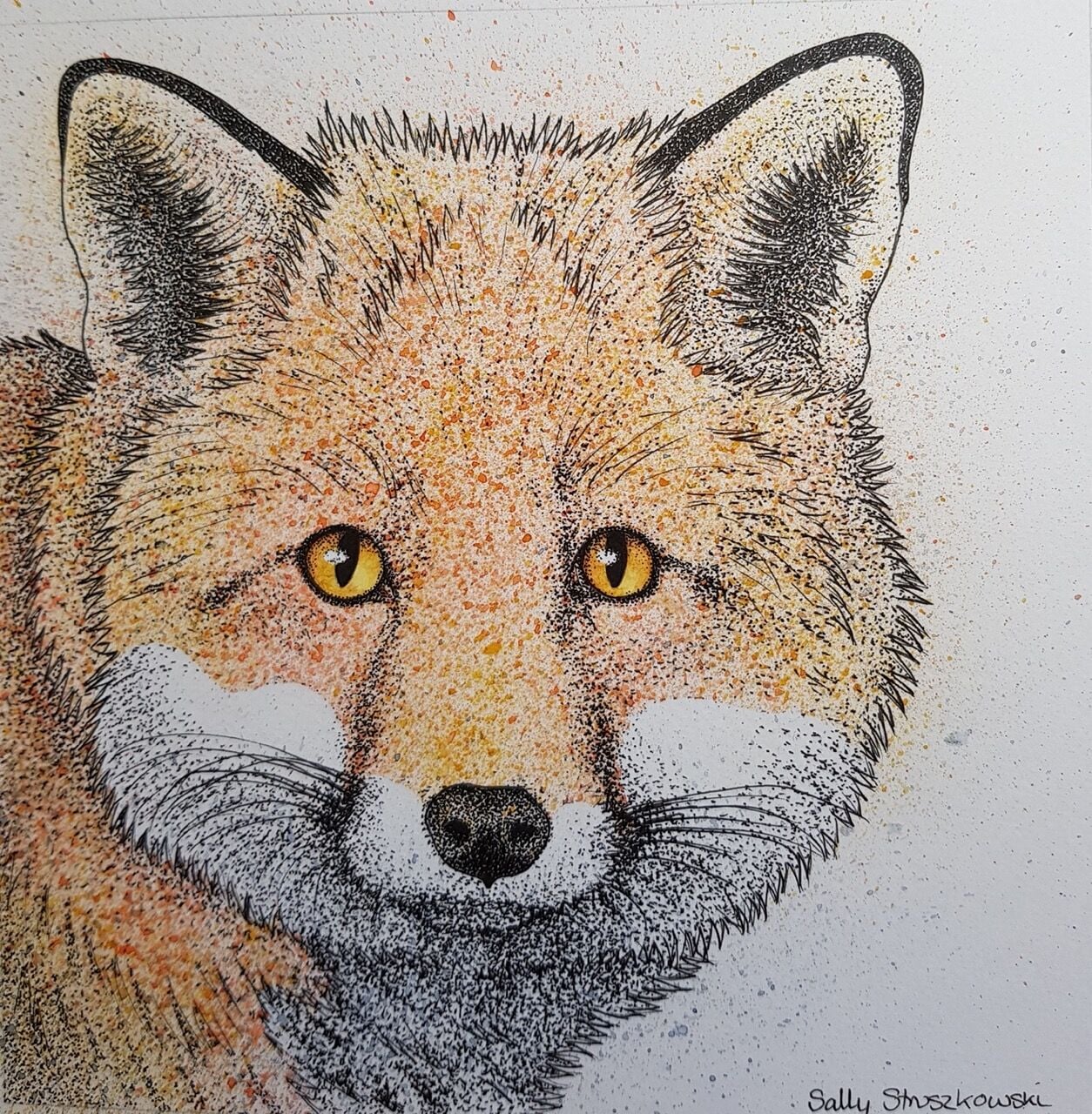 CE202 - Mr Fox - by - Sally Struszkowski