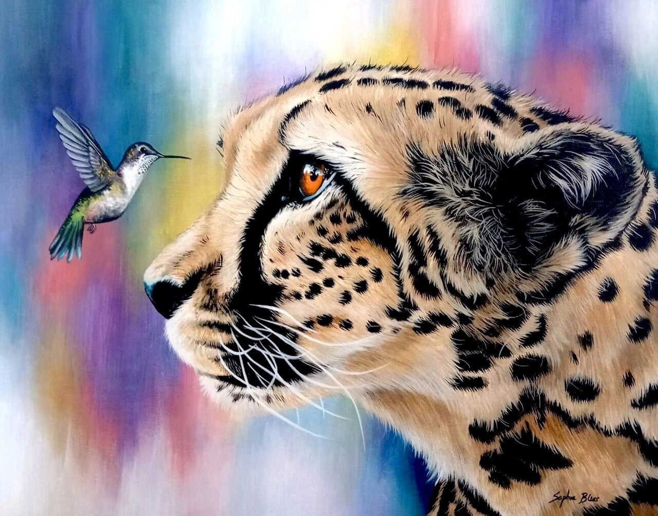 CE208 - Mesmerised - by - Sophie Bliss Kilpatrick