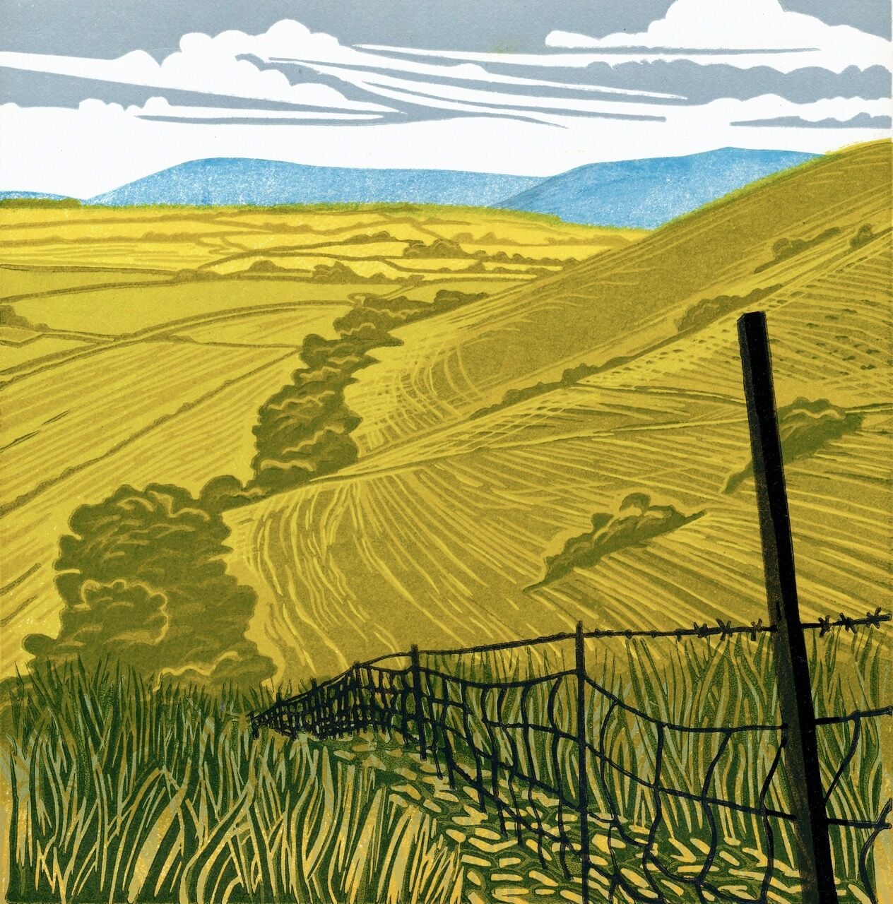 CE210 - View east on the South Downs Way - by - Sorrell Kinley