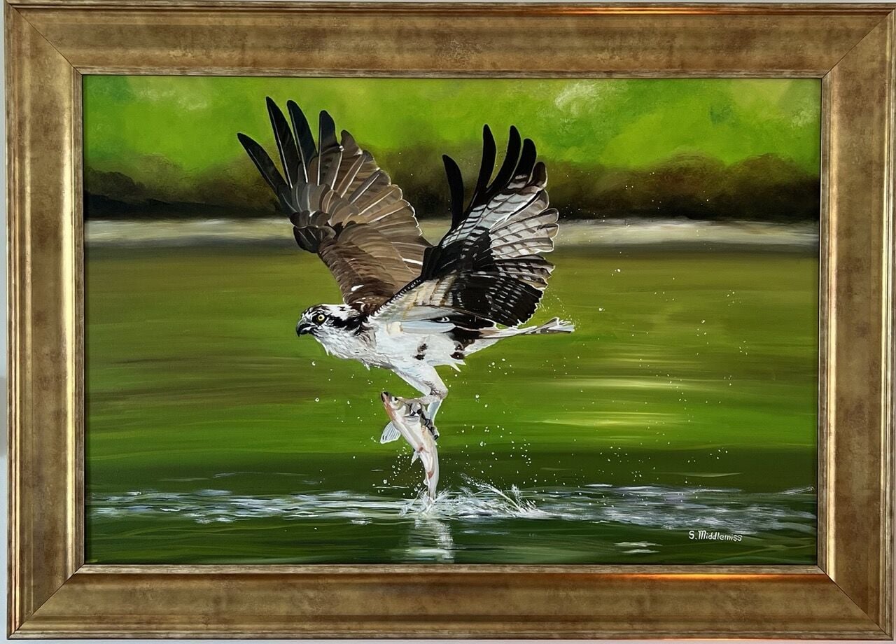 CE217 - Catch of the day - by - Susan Middlemiss